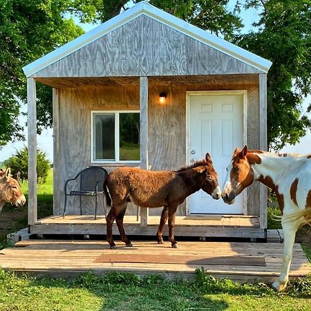 Tiny Cabin At The Donkeyranch Medicine Park Екстер'єр фото