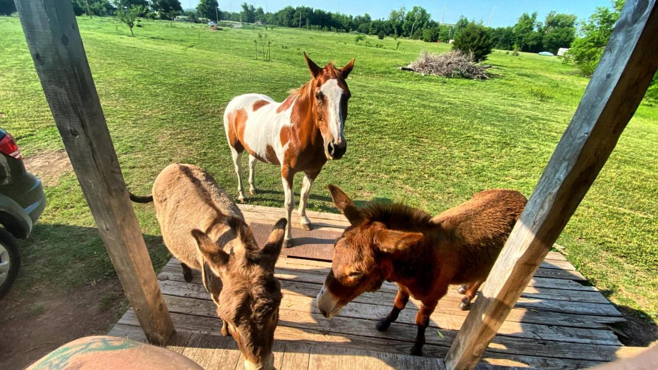 Tiny Cabin At The Donkeyranch Medicine Park Екстер'єр фото
