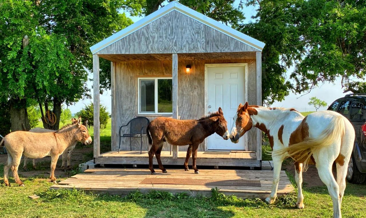 Tiny Cabin At The Donkeyranch Medicine Park Екстер'єр фото