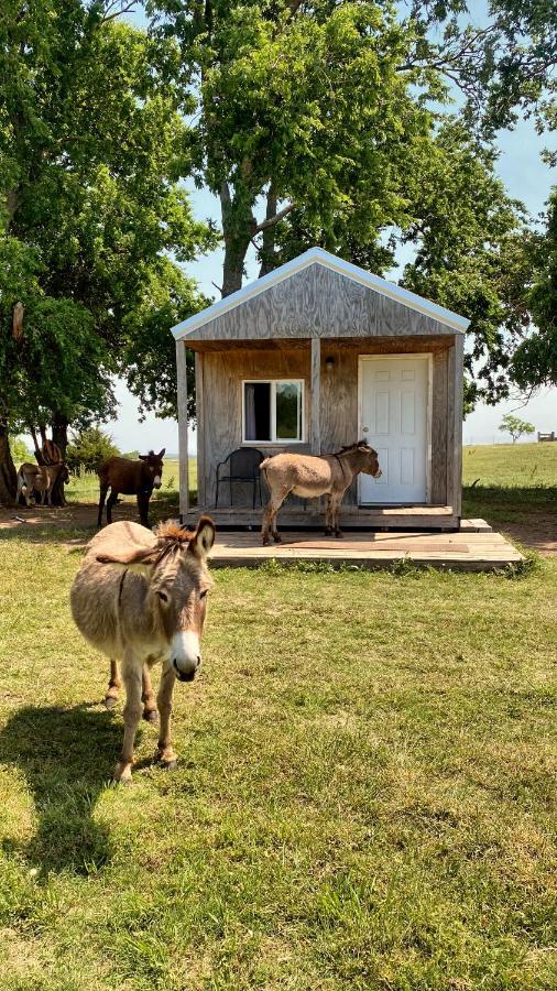 Tiny Cabin At The Donkeyranch Medicine Park Екстер'єр фото
